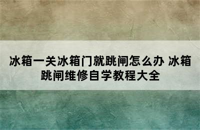 冰箱一关冰箱门就跳闸怎么办 冰箱跳闸维修自学教程大全